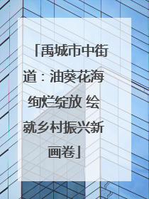禹城市中街道：油葵花海绚烂绽放 绘就乡村振兴新画卷