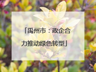 禹州市：政企合力推动绿色转型