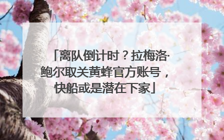 离队倒计时?拉梅洛·鲍尔取关黄蜂官方账号,快船或是潜在下家