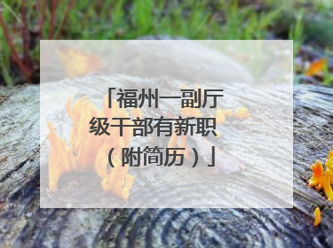 福州一副厅级干部有新职（附简历）