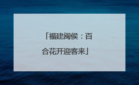 福建闽侯：百合花开迎客来