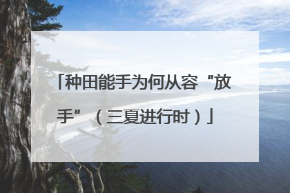 种田能手为何从容“放手”（三夏进行时）