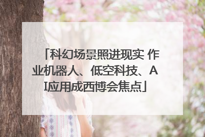 科幻场景照进现实 作业机器人、低空科技、AI应用成西博会焦点