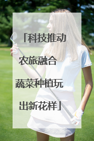 科技推动农旅融合 蔬菜种植玩出新花样