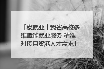 稳就业丨我省高校多维赋能就业服务 精准对接自贸港人才需求