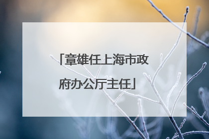 章雄任上海市政府办公厅主任