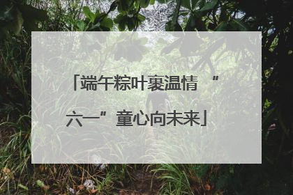端午粽叶裹温情 “六一”童心向未来