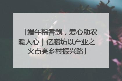 端午粽香飘，爱心助农暖人心｜亿膳坊以产业之火点亮乡村振兴路