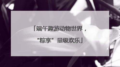 端午趣游动物世界，“粽享”量级欢乐
