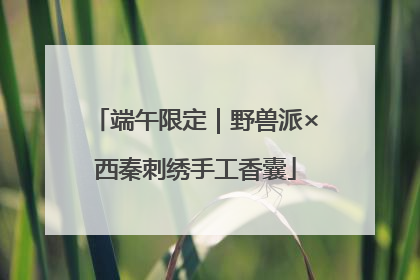 端午限定｜野兽派×西秦刺绣手工香囊