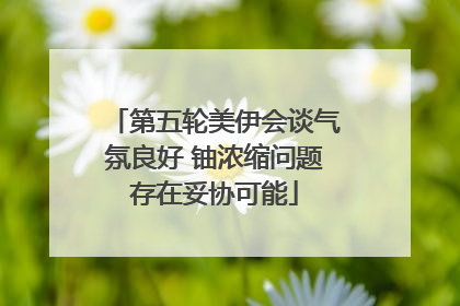 第五轮美伊会谈气氛良好 铀浓缩问题存在妥协可能