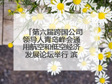 第六届跨国公司领导人青岛峰会通用航空和低空经济发展论坛举行 滨州市全方位推介低空经济发展优势