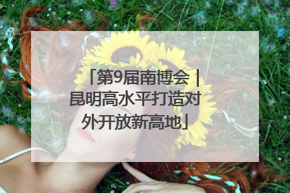 第9届南博会｜昆明高水平打造对外开放新高地