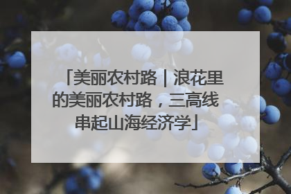 美丽农村路｜浪花里的美丽农村路，三高线串起山海经济学