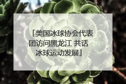 美国冰球协会代表团访问黑龙江 共话冰球运动发展