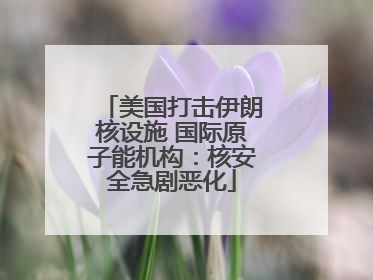 美国打击伊朗核设施 国际原子能机构：核安全急剧恶化