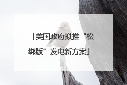 美国政府拟推“松绑版”发电新方案