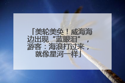 美轮美奂！威海海边出现“蓝眼泪”，游客：海浪打过来，就像星河一样