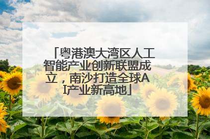 粤港澳大湾区人工智能产业创新联盟成立，南沙打造全球AI产业新高地