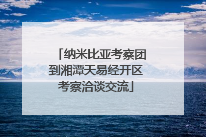纳米比亚考察团到湘潭天易经开区考察洽谈交流