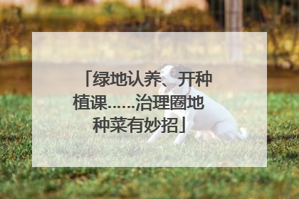 绿地认养、开种植课……治理圈地种菜有妙招