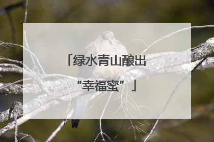 绿水青山酿出“幸福蜜”