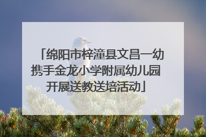 绵阳市梓潼县文昌一幼携手金龙小学附属幼儿园开展送教送培活动