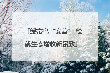 绶带鸟“安营” 绘就生态增收新景致