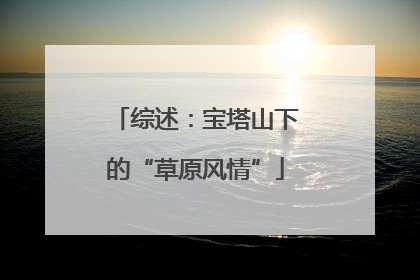 综述：宝塔山下的“草原风情”