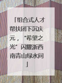 组合式人才帮扶团下沉庆元，“希望之光”闪耀浙西南青山绿水间