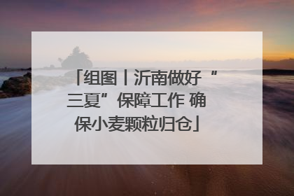 组图丨沂南做好“三夏”保障工作 确保小麦颗粒归仓