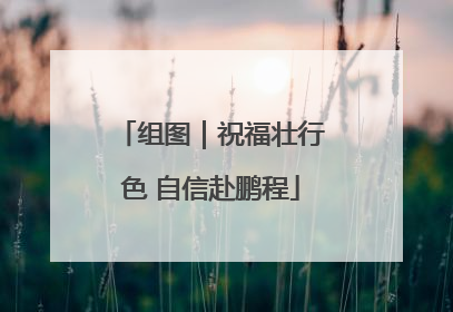 组图｜祝福壮行色 自信赴鹏程