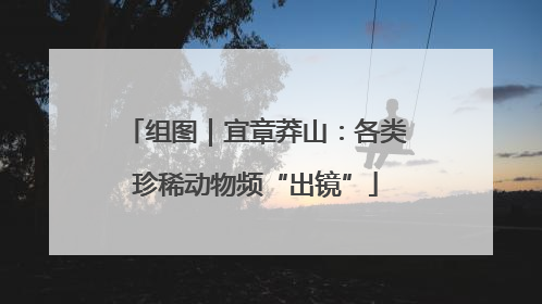 组图｜宜章莽山：各类珍稀动物频“出镜”