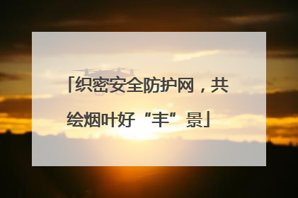 织密安全防护网，共绘烟叶好“丰”景