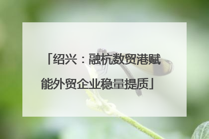 绍兴：融杭数贸港赋能外贸企业稳量提质