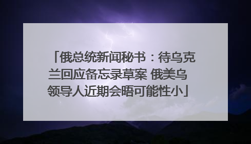 俄总统新闻秘书：待乌克兰回应备忘录草案 俄美乌领导人近期会晤可能性小