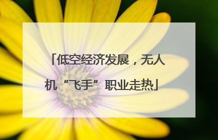 低空经济发展，无人机“飞手”职业走热
