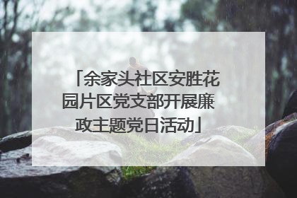 余家头社区安胜花园片区党支部开展廉政主题党日活动