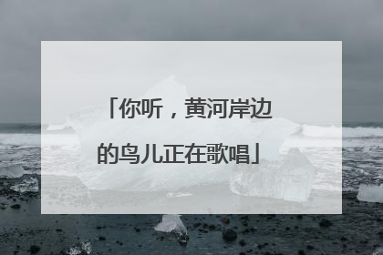 你听，黄河岸边的鸟儿正在歌唱