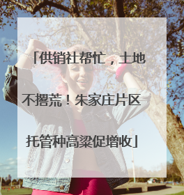 供销社帮忙，土地不撂荒！朱家庄片区托管种高粱促增收
