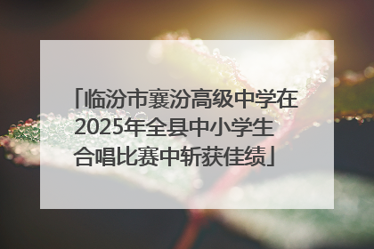 临汾市襄汾高级中学在2025年全县中小学生合唱比赛中斩获佳绩