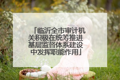 临沂全市审计机关积极在统筹推进基层监督体系建设中发挥职能作用