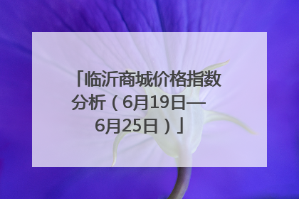 临沂商城价格指数分析（6月19日—6月25日）