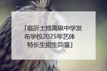 临沂士博高级中学发布学校2025年艺体特长生招生简章