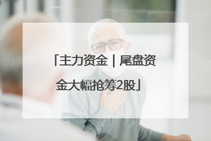 主力资金｜尾盘资金大幅抢筹2股