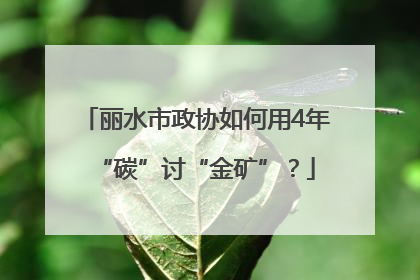 丽水市政协如何用4年“碳”讨“金矿”？
