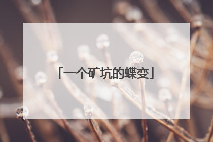 一个矿坑的蝶变