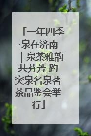 一年四季·泉在济南｜泉茶雅韵共芬芳 趵突泉名泉茗茶品鉴会举行