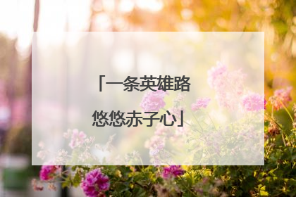 一条英雄路 悠悠赤子心