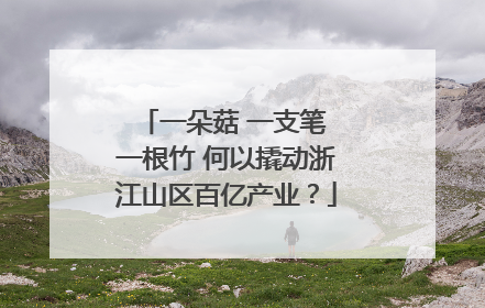 一朵菇 一支笔 一根竹 何以撬动浙江山区百亿产业？